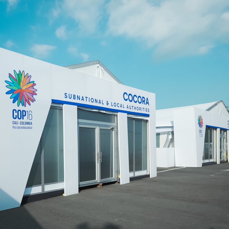 COP16 - TEG_66